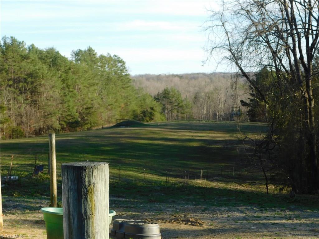 1705 Trinity Church Road Pinnacle, NC 27043 - Photo 14 of 26