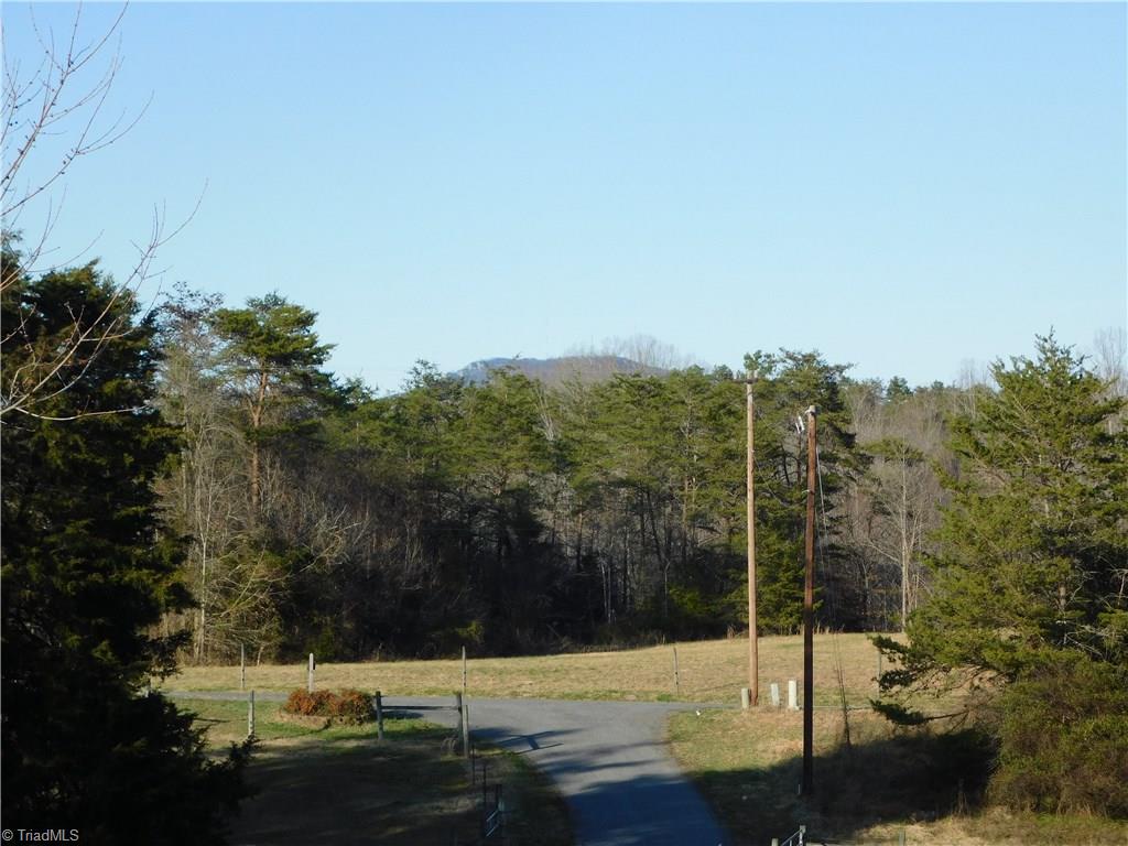 1705 Trinity Church Road Pinnacle, NC 27043 - Photo 3 of 26