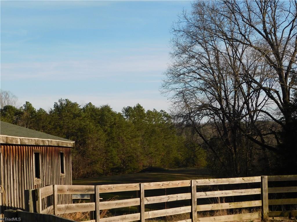 1705 Trinity Church Road Pinnacle, NC 27043 - Photo 21 of 26