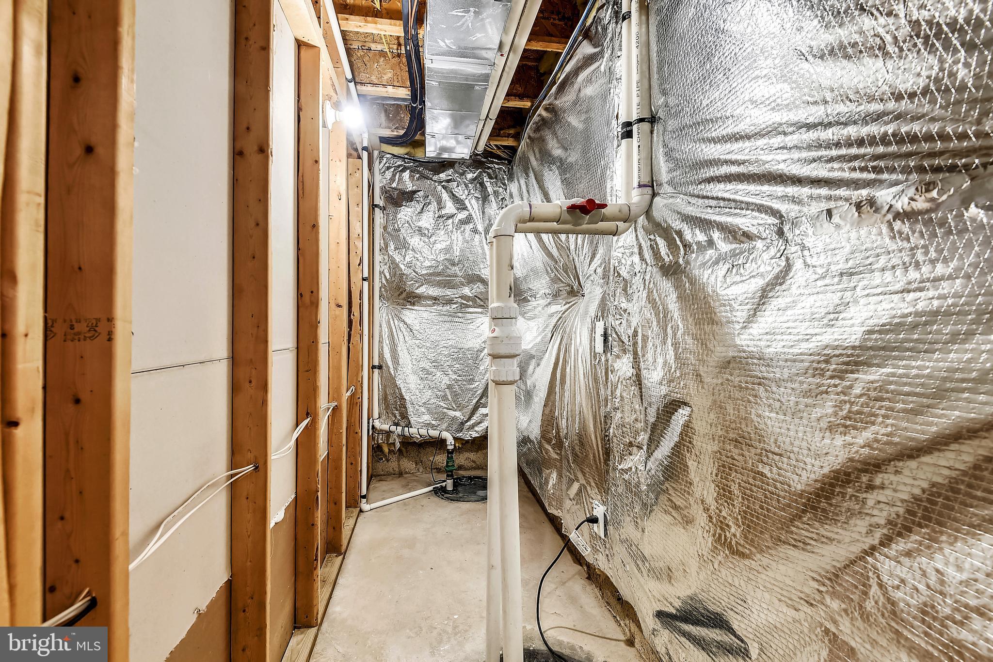 25171 Beach Place Chantilly, VA 20152 - Photo 55 of 71 Two Newer Sump Pumps