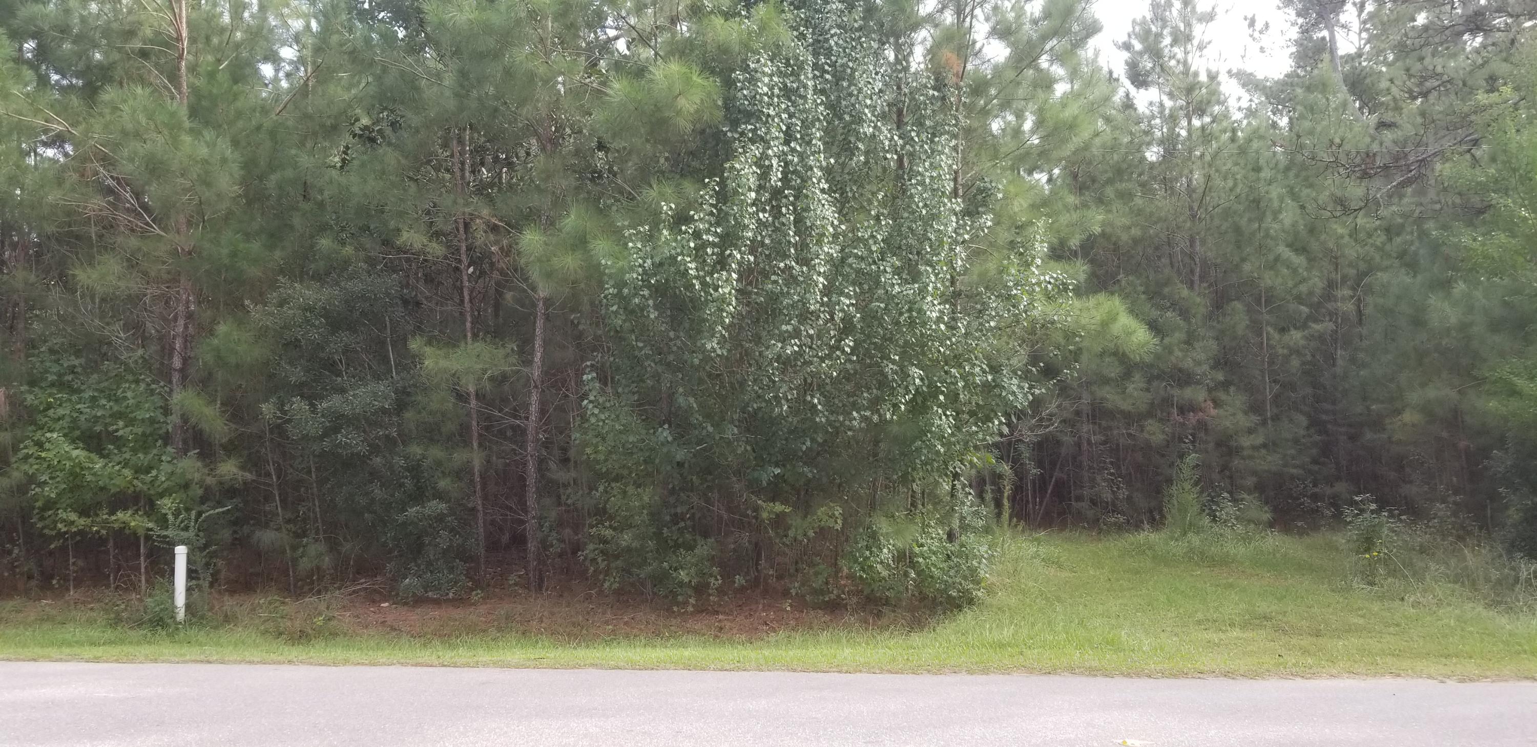 324 Cheyenne Road Summerville, SC 29483 - Photo 1 of 3 20181009_160841