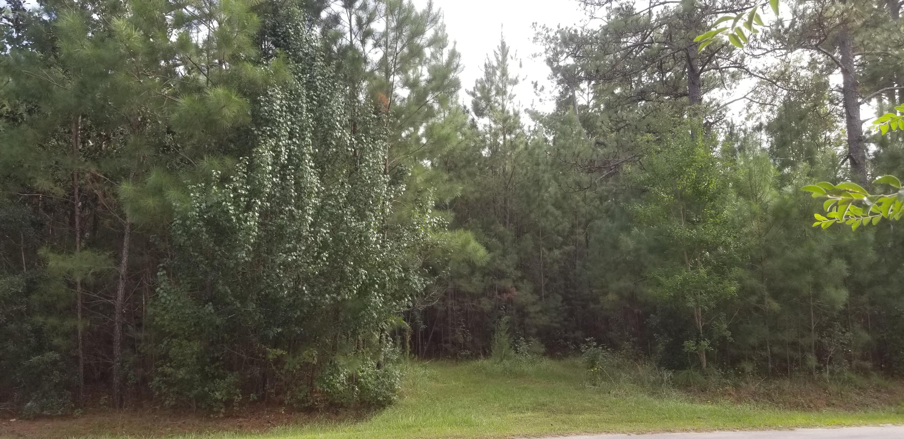 324 Cheyenne Road Summerville, SC 29483 - Photo 2 of 3 20181009_160850