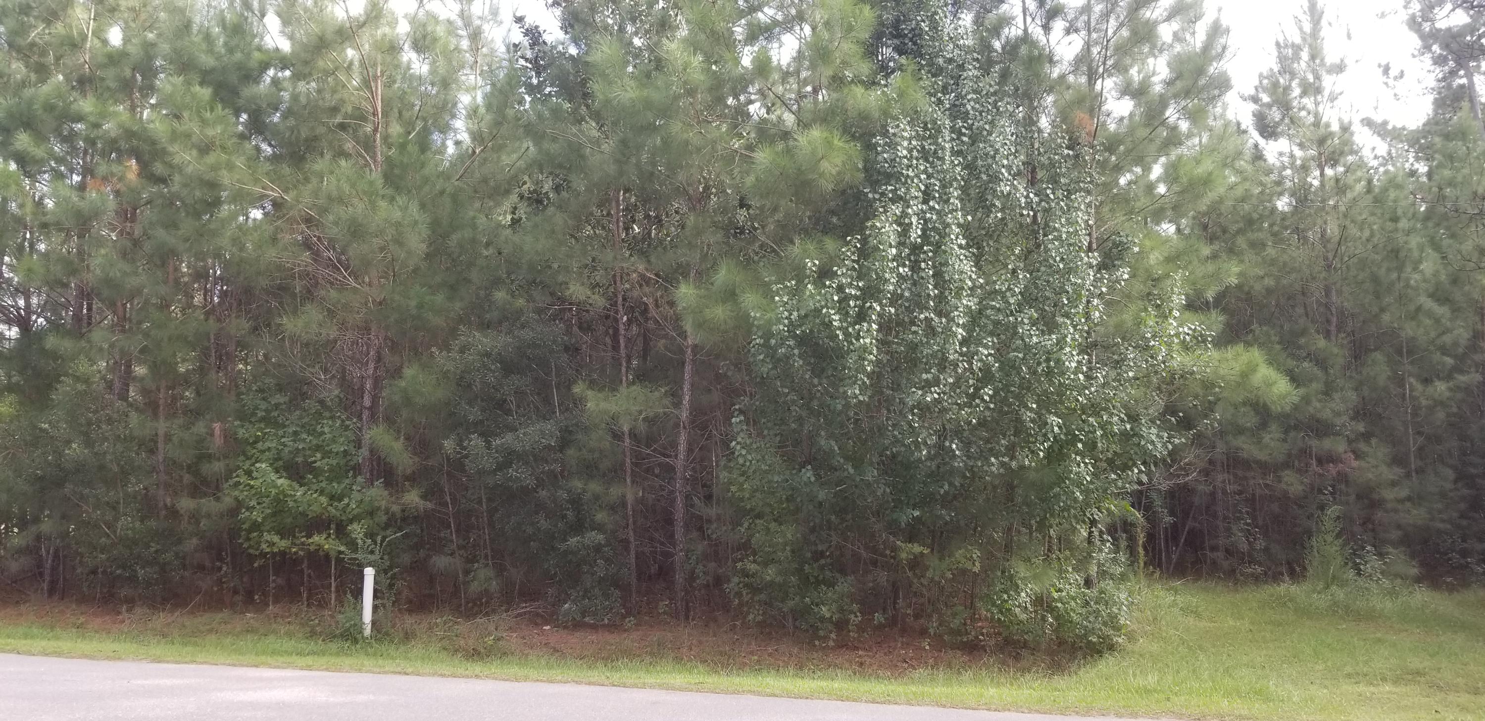 324 Cheyenne Road Summerville, SC 29483 - Photo 3 of 3 20181009_160853