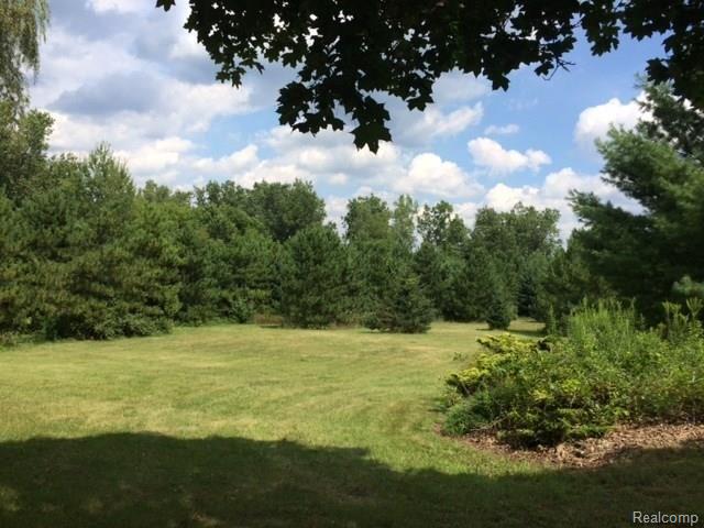 3435 Metamora Road Metamora, MI 48455 - Photo 9 of 39 9.JPG