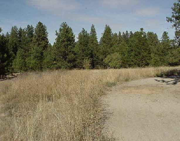 - Arcadia Deer Park, WA 99006 - Photo 1 of 1