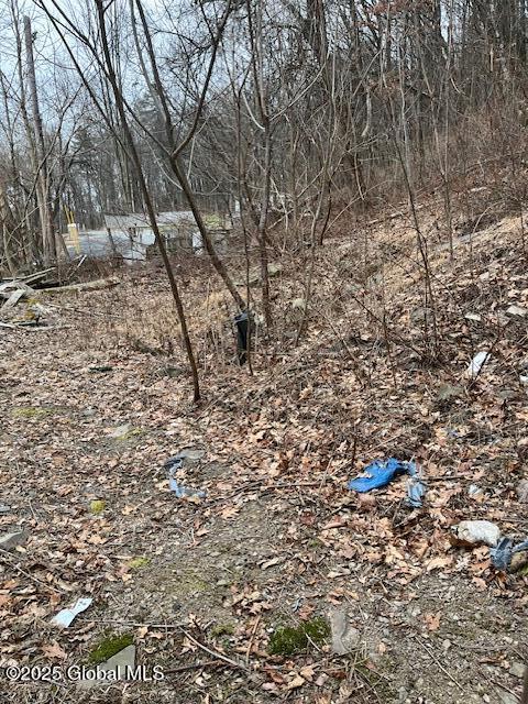 711 Vedder Mountain Road Catskill, NY 12414 - Photo 14 of 14 IMG_3245