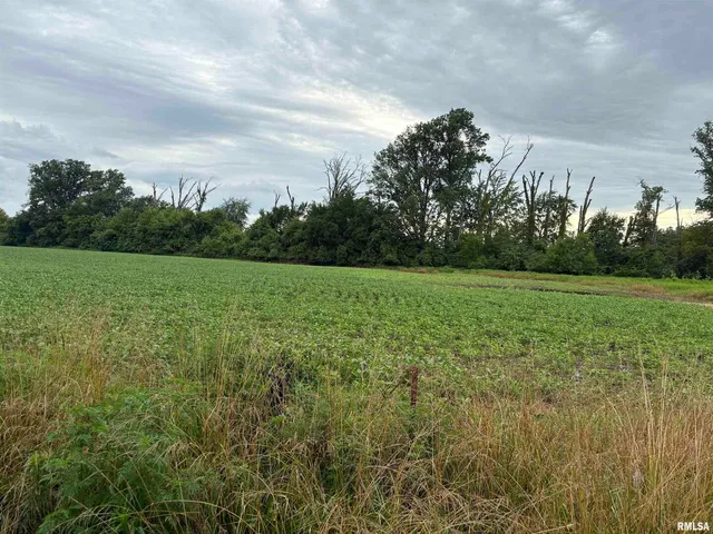 $150,000 | 0 North Randolph Drive, Centralia, IL 62801