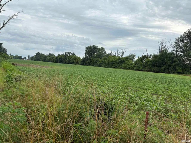 $150,000 | 0 North Randolph Drive, Centralia, IL 62801