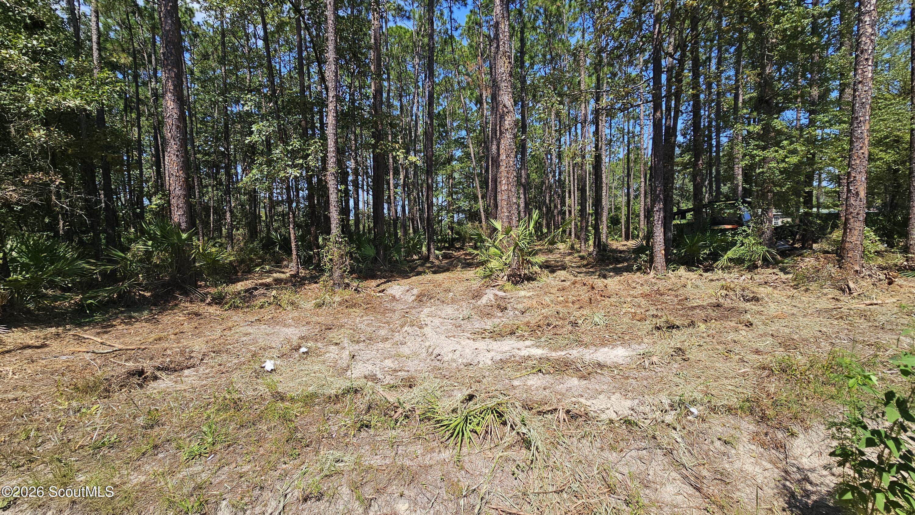 323 Baker Creek Road Nahunta, GA 31553 - Photo 3 of 6 20260820_120450