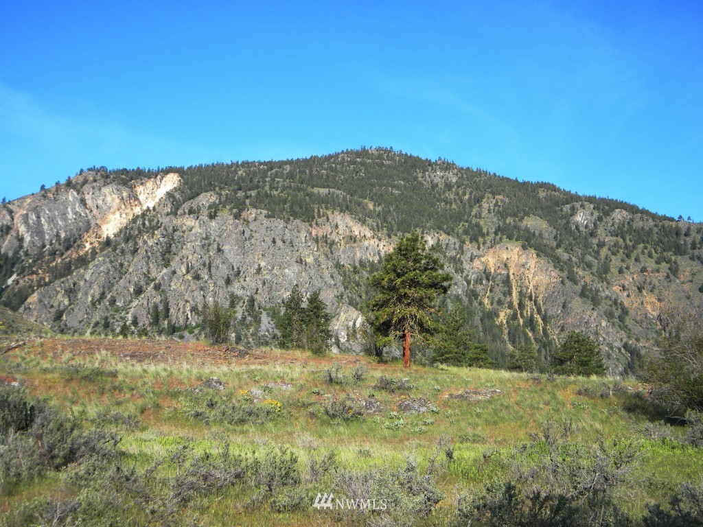 32 Doe Haven Road Twisp, WA 98856 - Photo 11 of 25