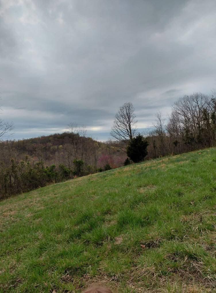 97 Bethel Road Patriot, OH 45658 - Photo 18 of 37 FB_IMG_1775527481149