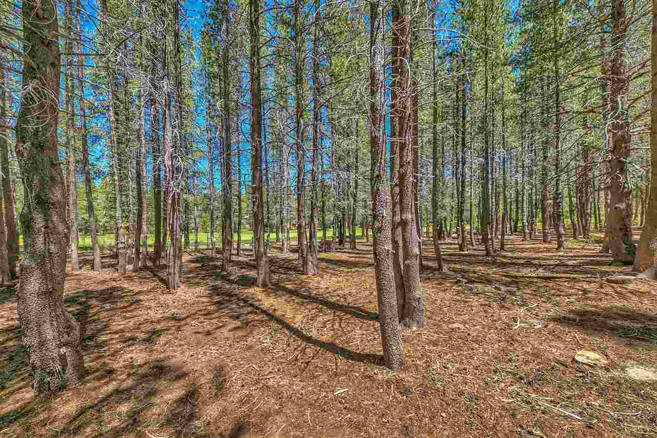 14668 Davos Drive Truckee, CA 96161 - Photo 2 of 12