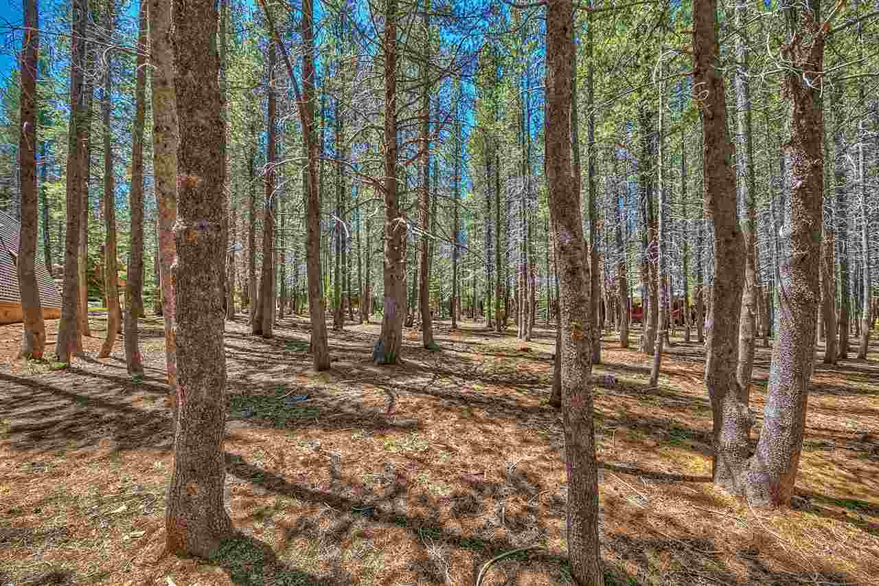 14668 Davos Drive Truckee, CA 96161 - Photo 7 of 12
