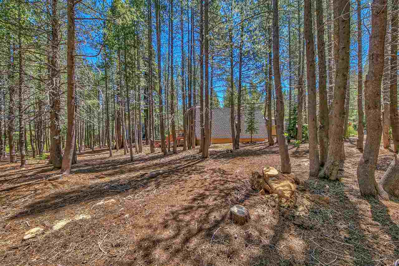 14668 Davos Drive Truckee, CA 96161 - Photo 8 of 12