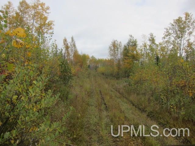 Tbd Lukes Road Crystal Falls, MI 49920 - Photo 5 of 17 Gallery Image 5