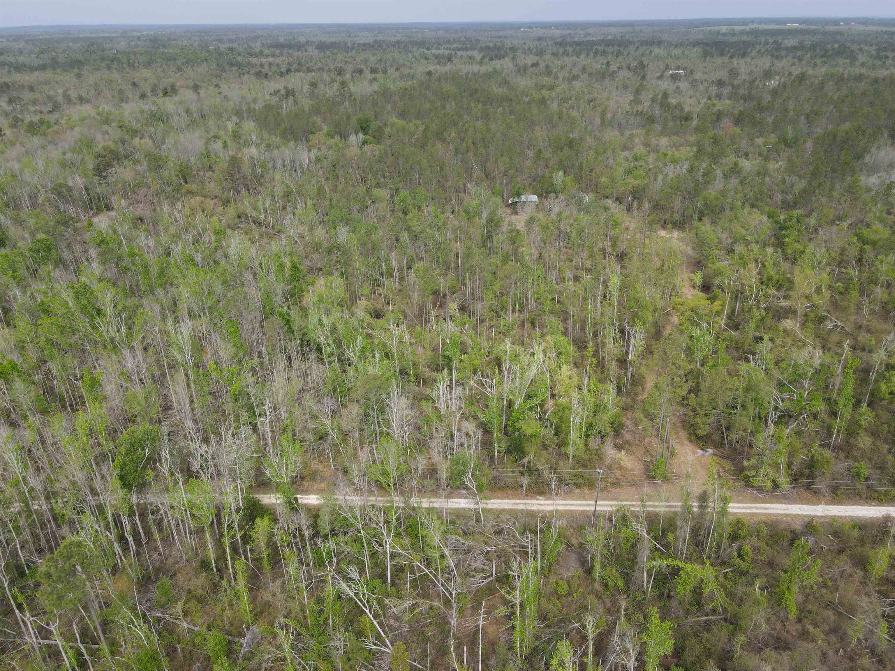 870 Southwest San Pedro Road Madison, FL 32340 - Photo 38 of 44