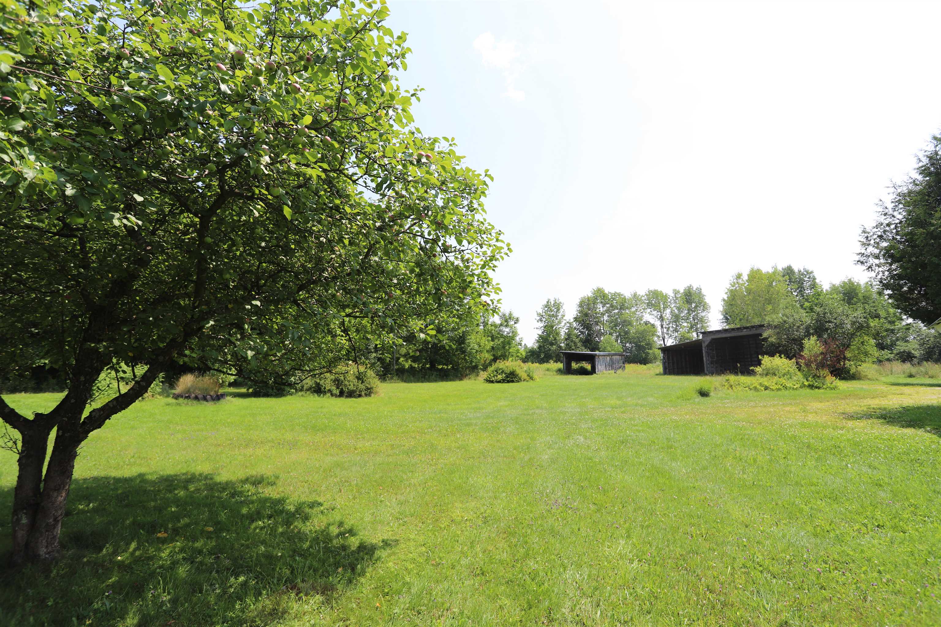 374 Browns Hill Road Newport Town, VT 05855 - Photo 5 of 30