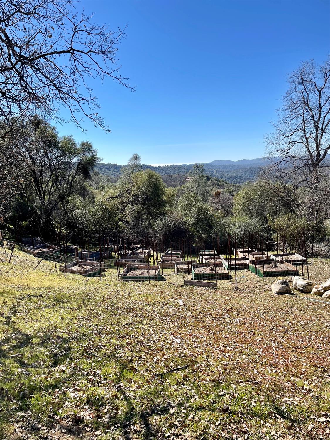 3428 Windy Hollow Road Mariposa, CA 95338 - Photo 8 of 17 Gallery Image 8