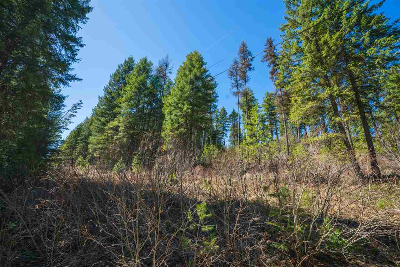 0 Deeter Road Newport, WA 99156 - Photo 5 of 18 Gallery Image 5