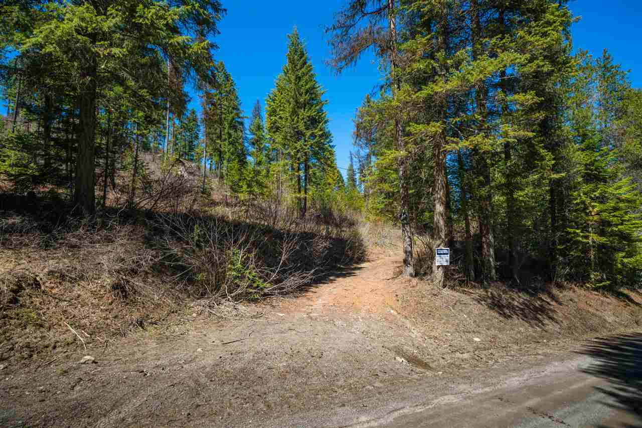 0 Deeter Road Newport, WA 99156 - Photo 6 of 18 Gallery Image 6