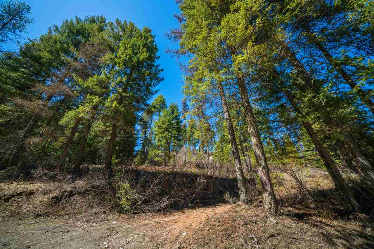 0 Deeter Road Newport, WA 99156 - Photo 7 of 18 Gallery Image 7