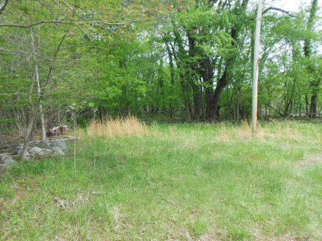 0 Rutrough Road Southeast Roanoke, VA 24014 - Photo 3 of 6 a view of a garden