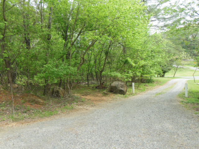 0 Rutrough Road Southeast Roanoke, VA 24014 - Photo 4 of 6 a view of a water fountain with large trees