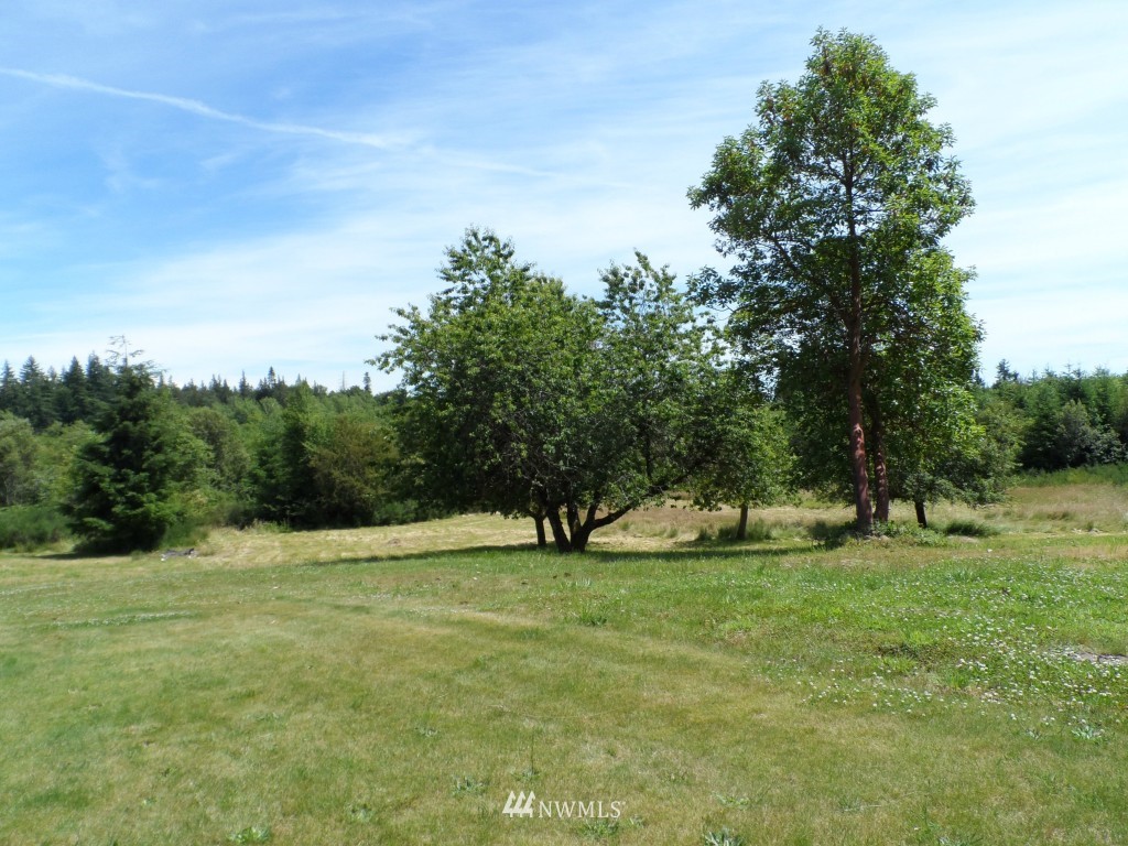 4340 Southeast Bloomfield Road Shelton, WA 98584 - Photo 8 of 9 Gallery Image 8