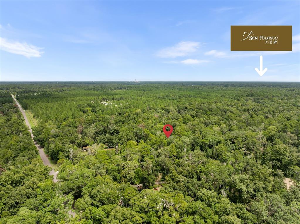 6916 Northwest 67th Avenue Gainesville, FL 32653 - Photo 47 of 55