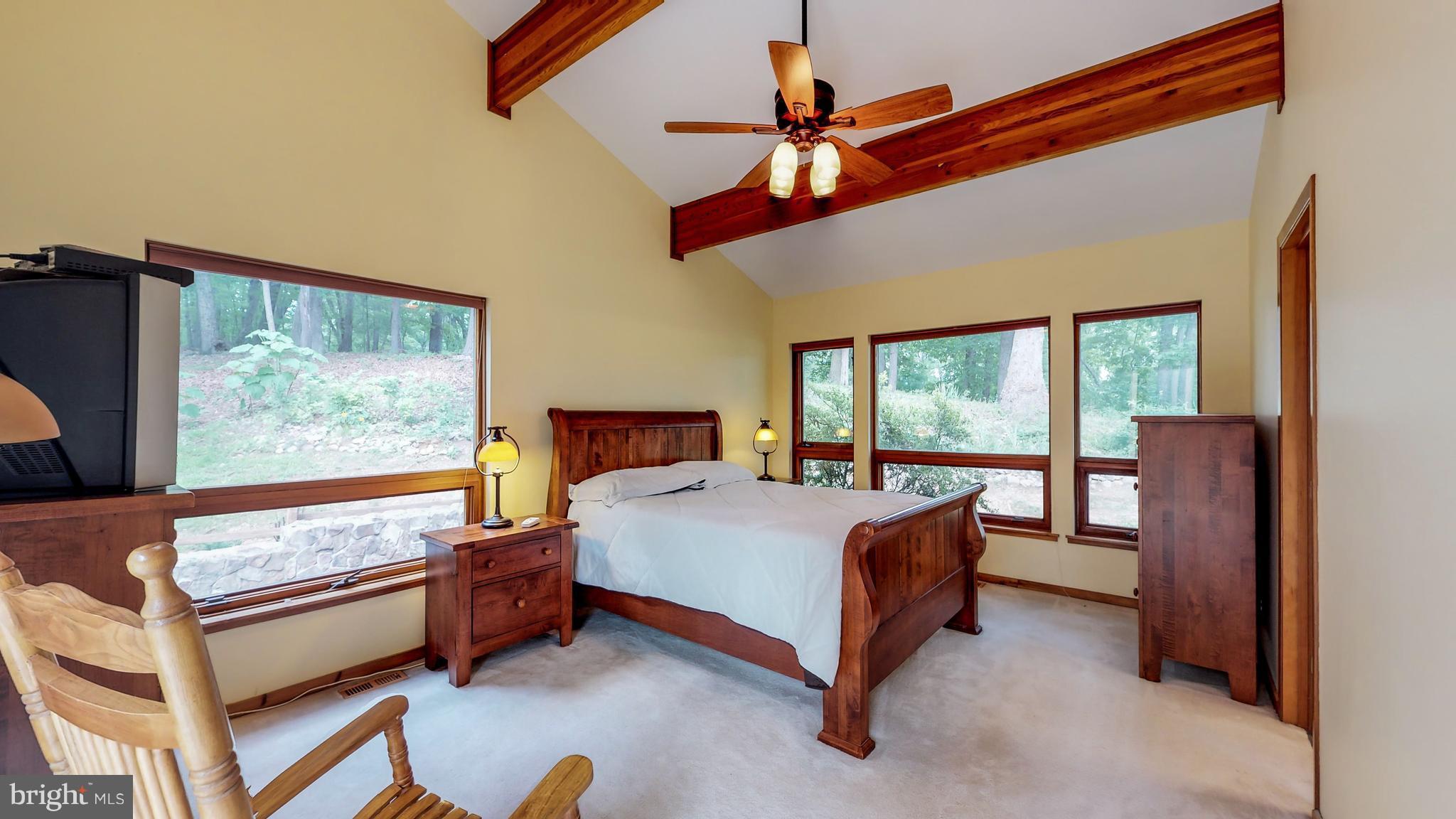 Vaulted ceiling with exposed beams