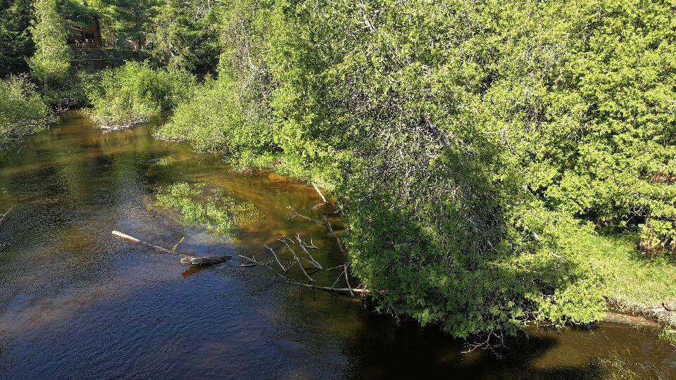 V/l West Pomeroy Springs Road Irons, MI 49644 - Photo 6 of 27 DJI_20260526094604_0370_D