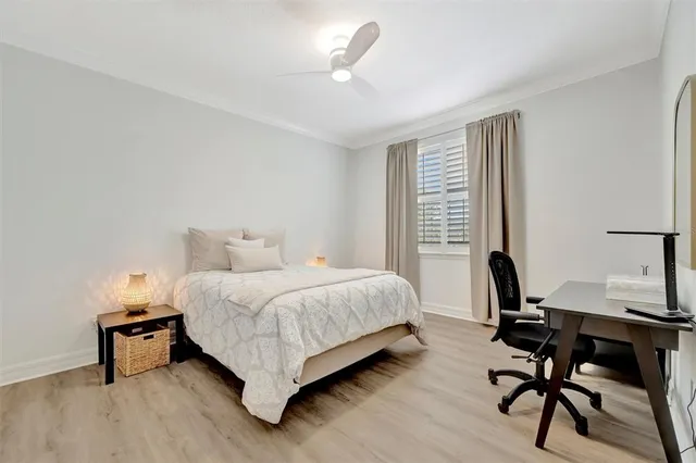 a view of a swimming pool with a garden and plants