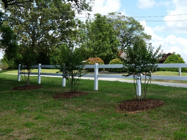 1550 Old Seneca Road Central, SC 29630 - Photo 3 of 13