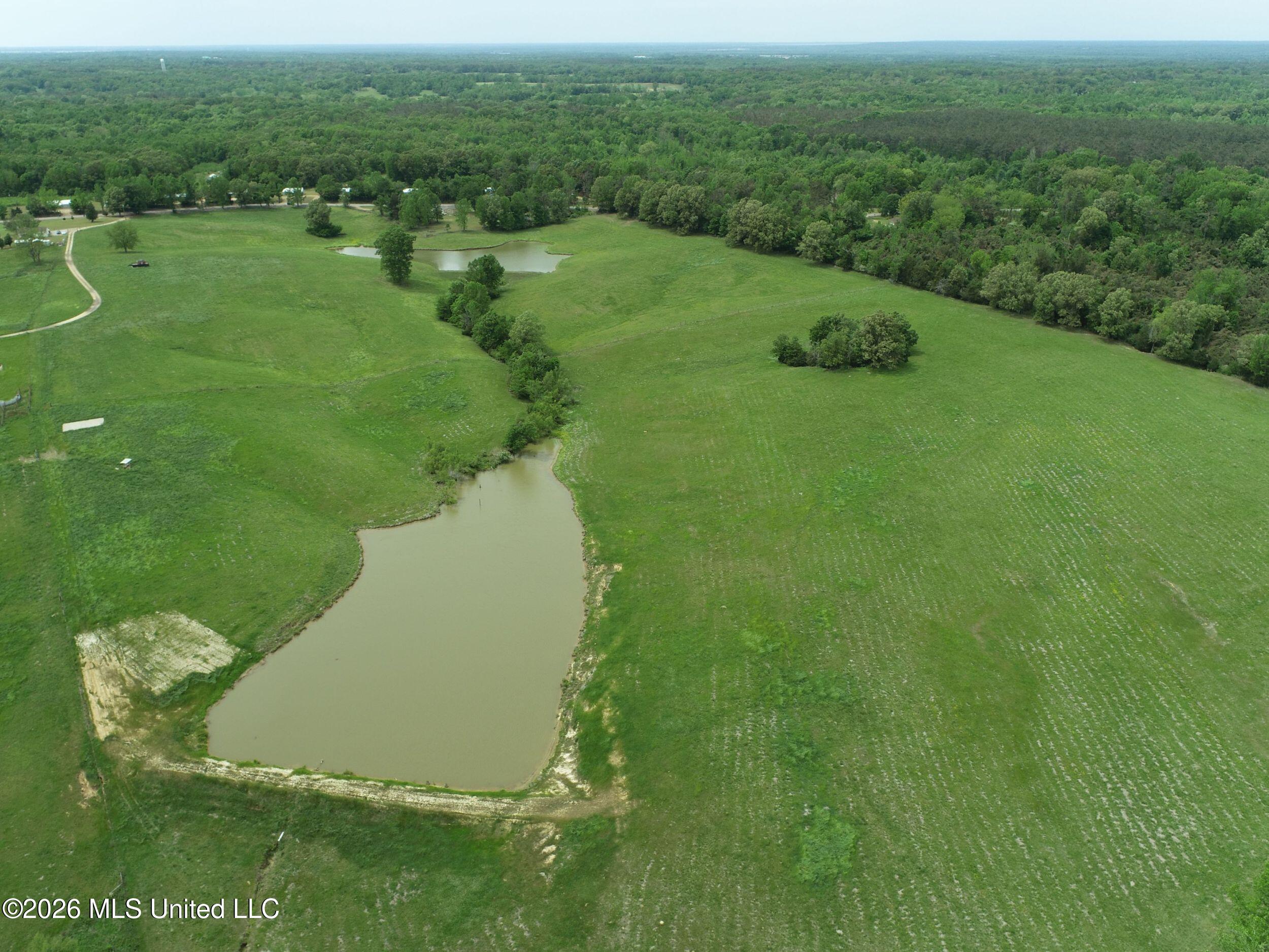 116 Hawkins Road Courtland, MS 38620 - Photo 30 of 200 2tamtgm40