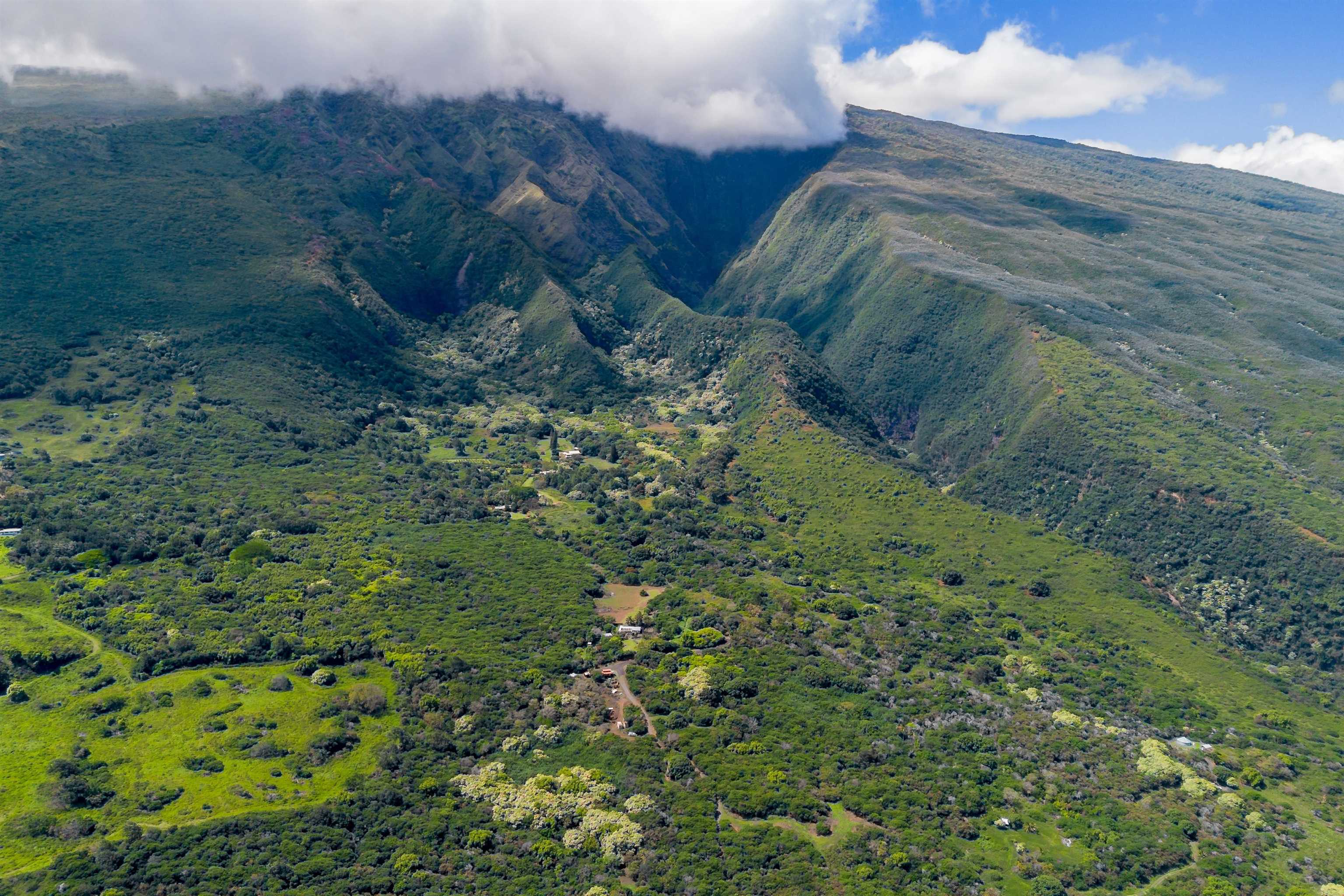 0 Kaupo Gap Road Haiku, HI 96708 - Photo 4 of 9 a view of a yard