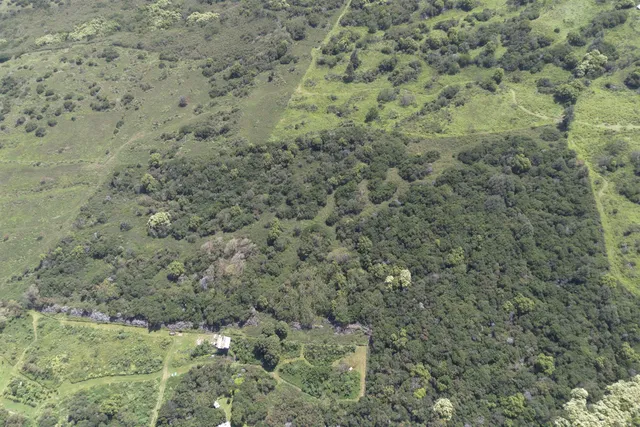 a view of a field with trees in the background