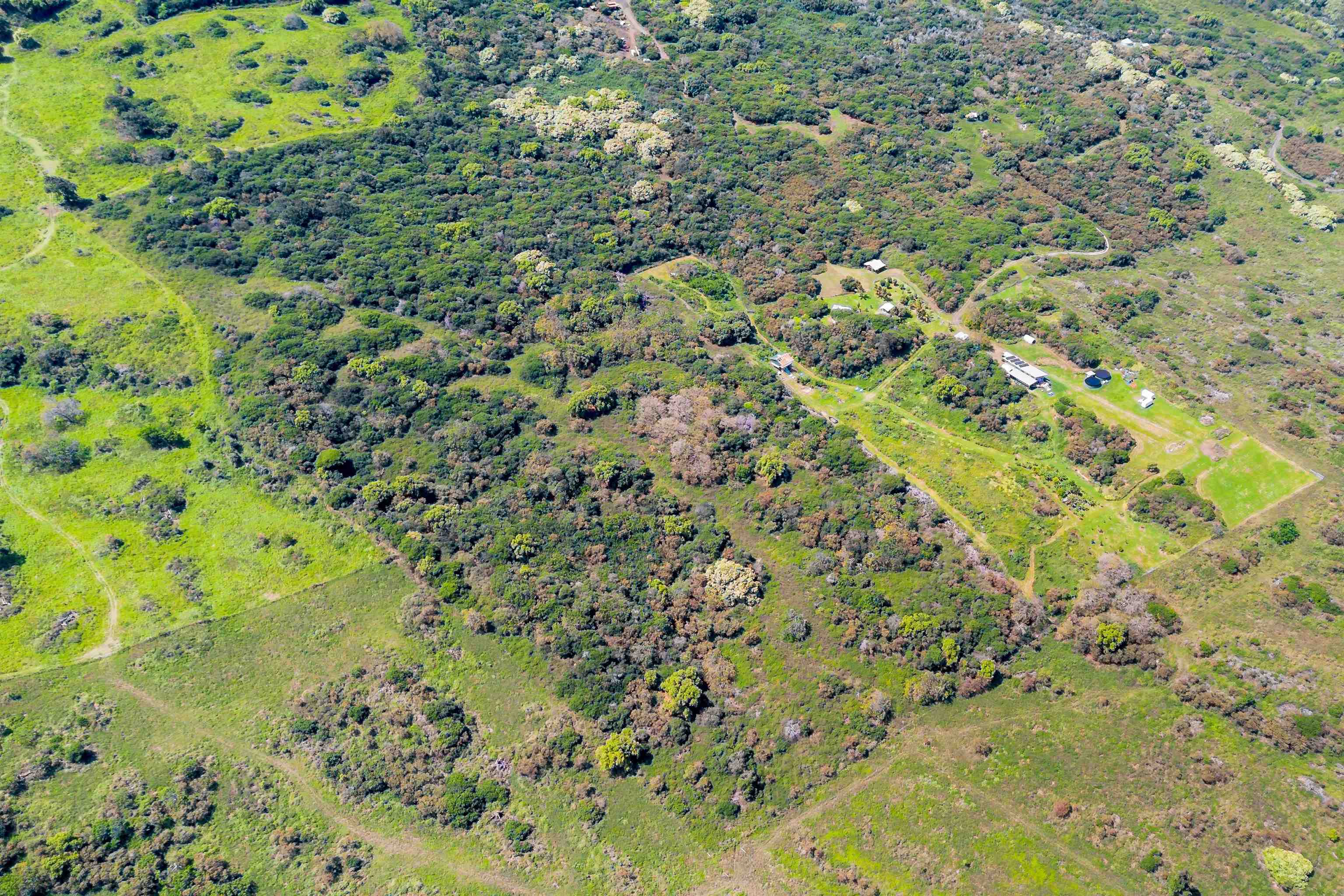 0 Kaupo Gap Road Haiku, HI 96708 - Photo 8 of 9 a view of a yard