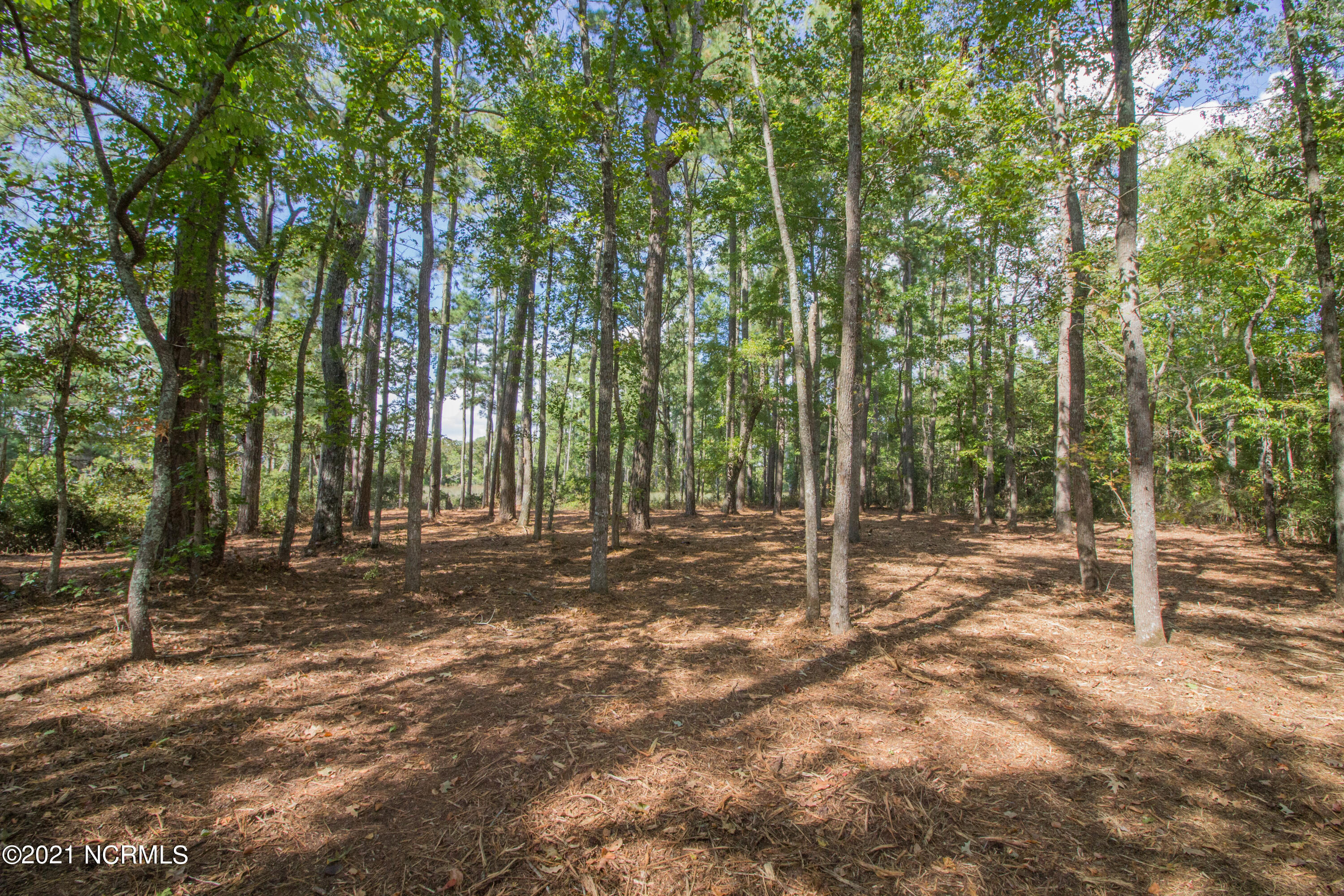 77 Wheat Patch Road Belhaven, NC 27810 - Photo 19 of 26 Building site