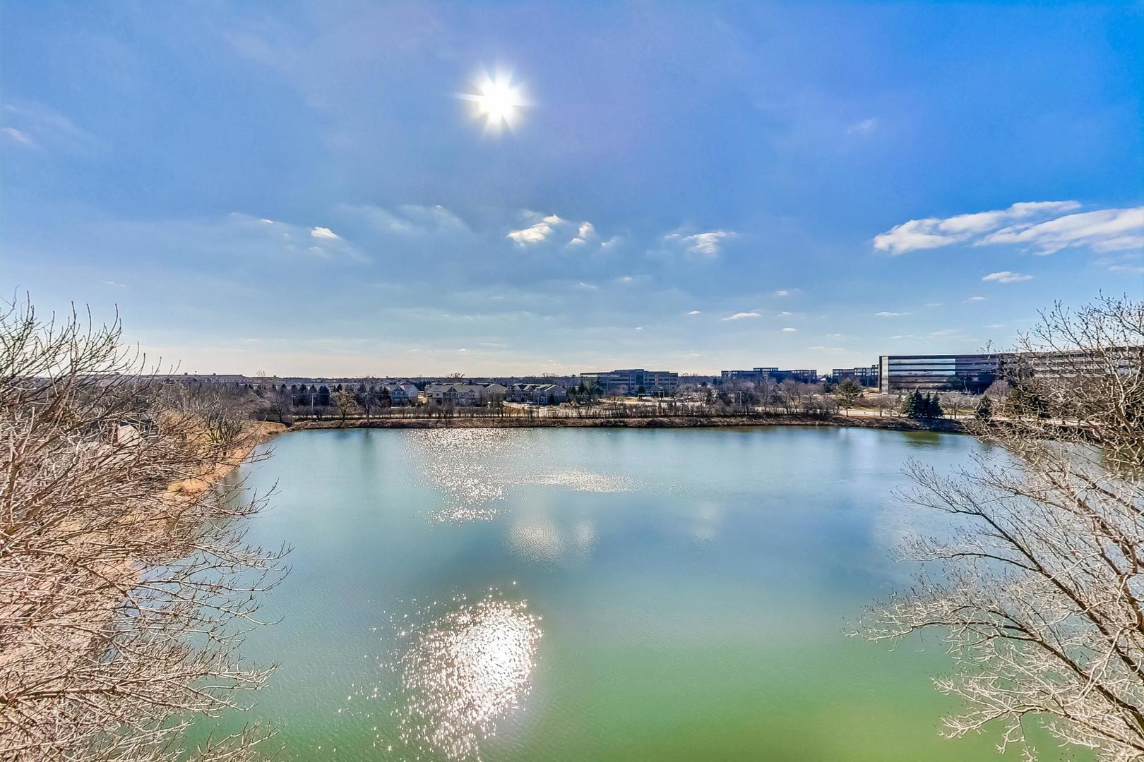 209 Rivershire Lane, Unit 503 Lincolnshire, IL 60069 - Photo 34 of 53 a view of a lake view