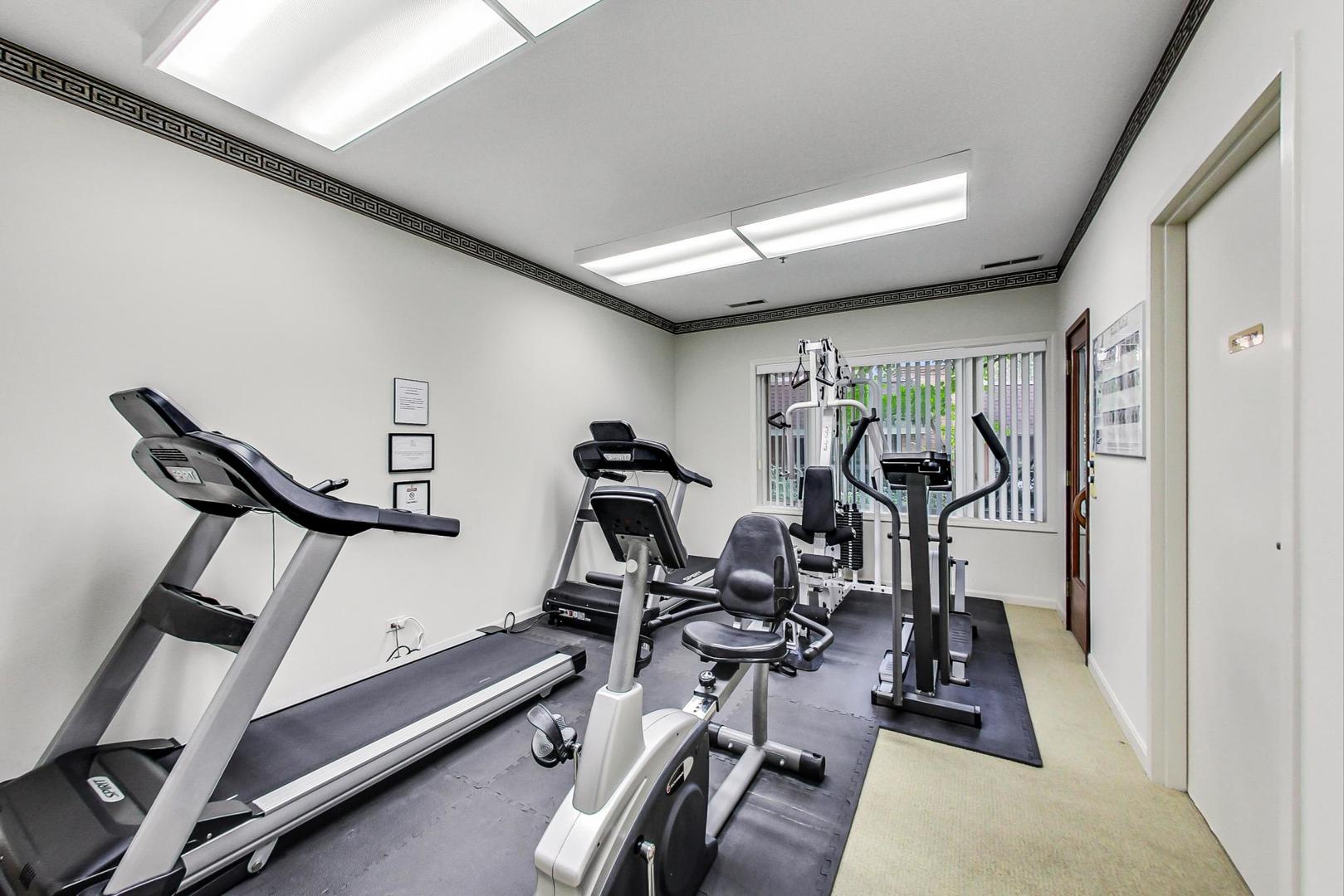209 Rivershire Lane, Unit 503 Lincolnshire, IL 60069 - Photo 35 of 53 a view of a room with gym equipment