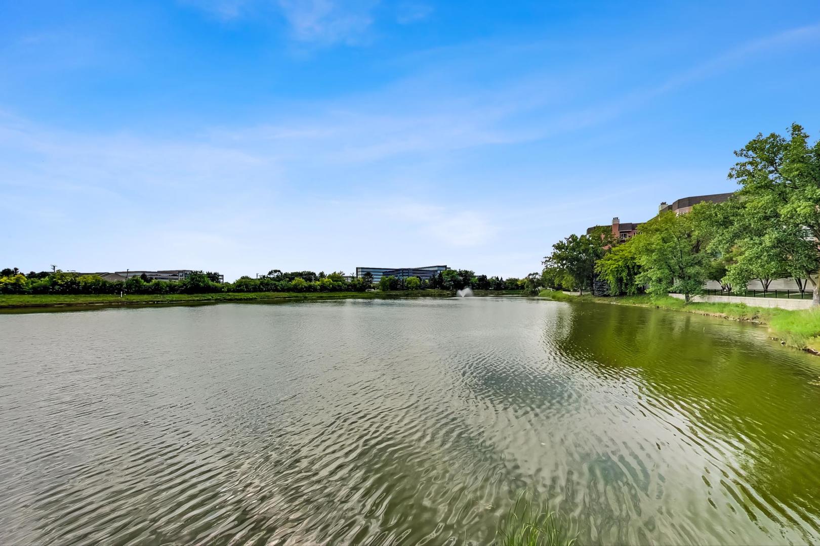 209 Rivershire Lane, Unit 503 Lincolnshire, IL 60069 - Photo 42 of 53 a view of lake