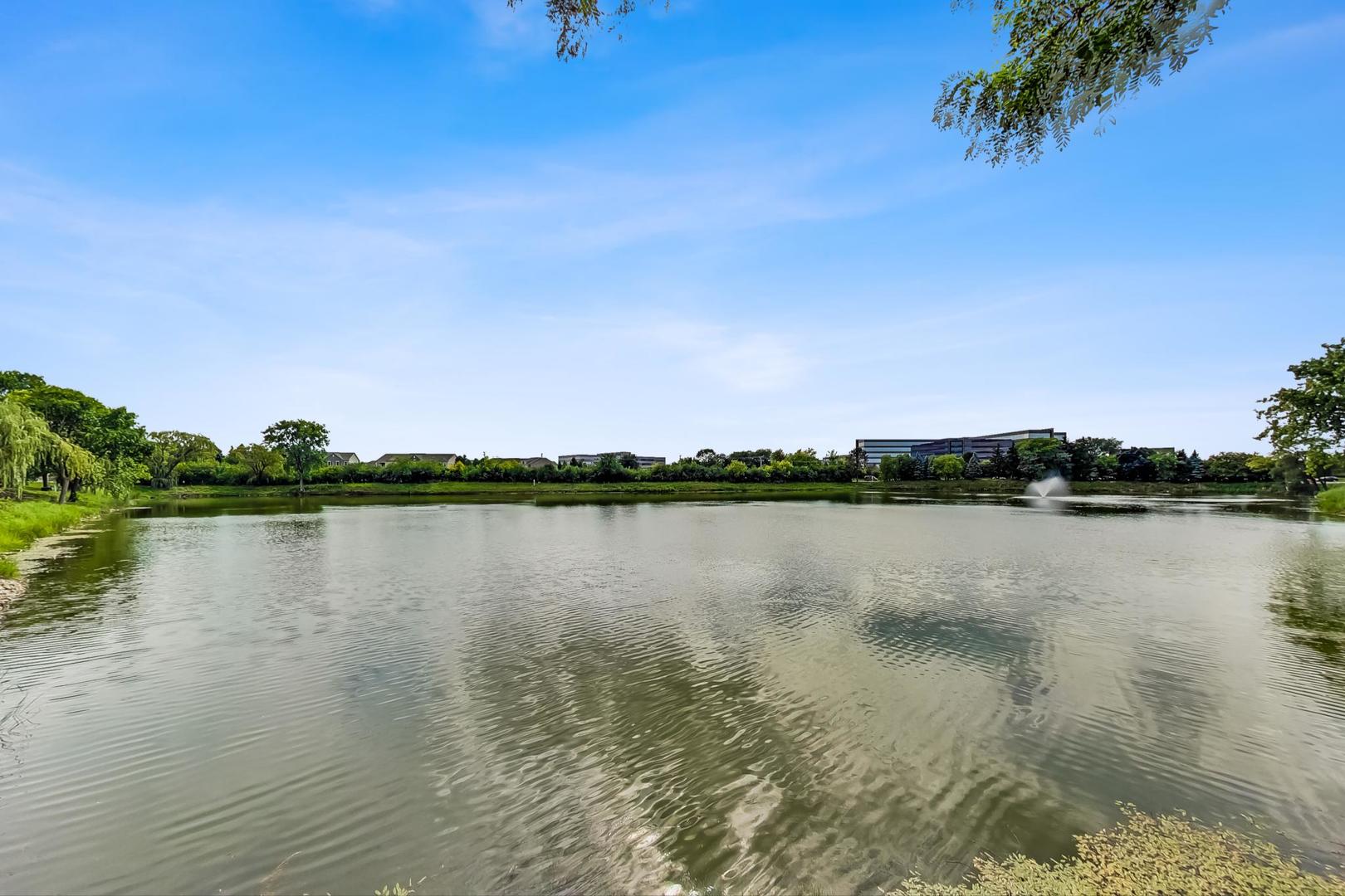 209 Rivershire Lane, Unit 503 Lincolnshire, IL 60069 - Photo 45 of 53 a view of lake