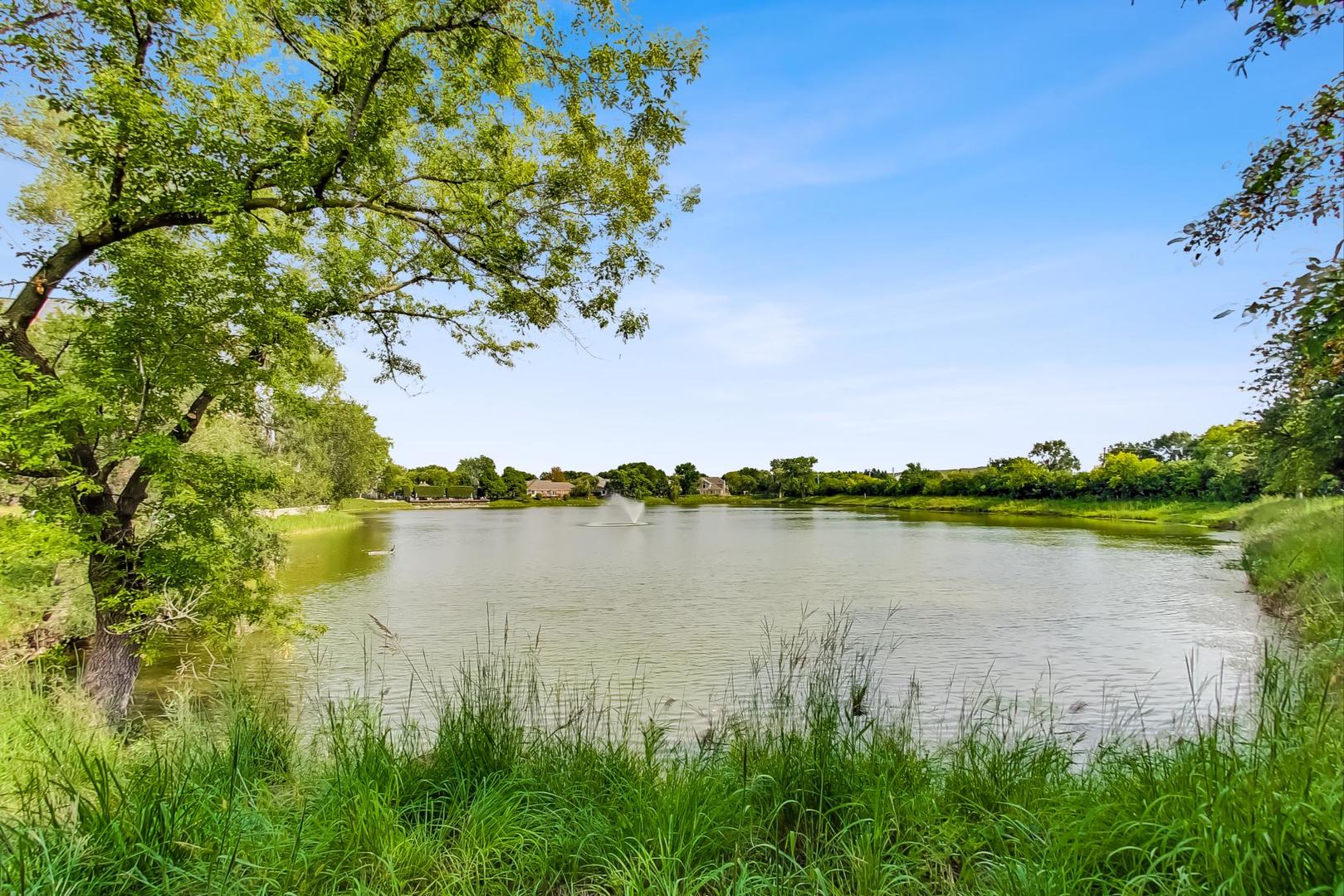 209 Rivershire Lane, Unit 503 Lincolnshire, IL 60069 - Photo 47 of 53 a view of lake with green space