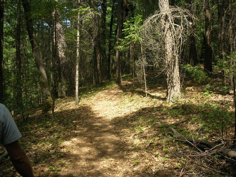 Clover Creek Road Oak Run, CA 96069 - Photo 11 of 17 Trail