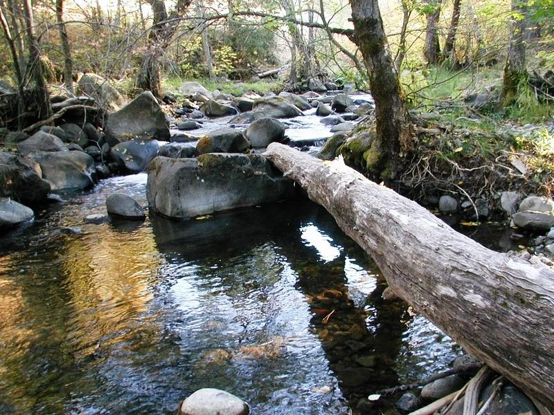 Clover Creek Road Oak Run, CA 96069 - Photo 6 of 17 Clover Creek 2