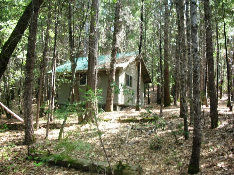 Clover Creek Road Oak Run, CA 96069 - Photo 10 of 17 Shed
