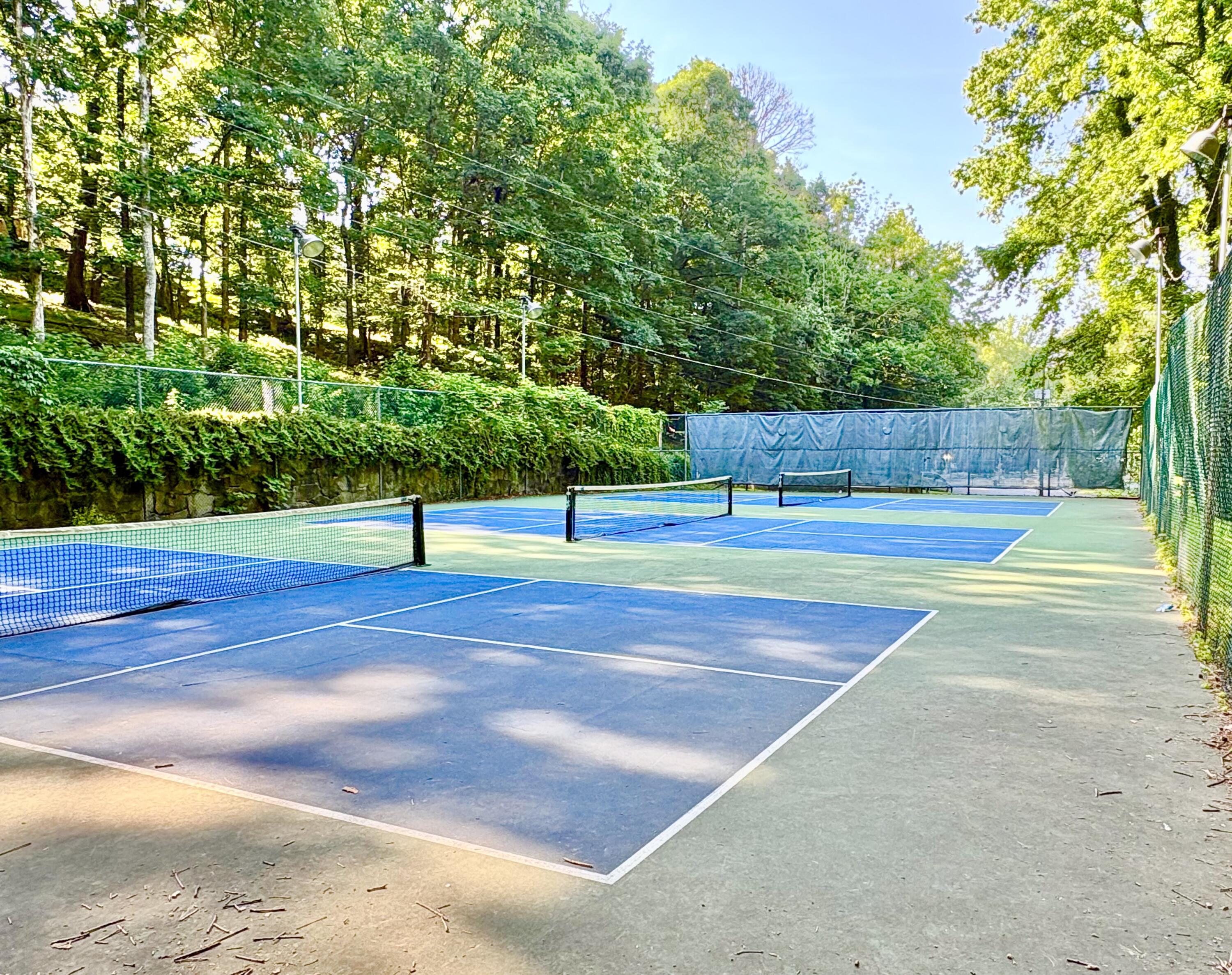 1808 Hidden Harbor Road Hixson, TN 37343 - Photo 66 of 73 Pickleball Courts