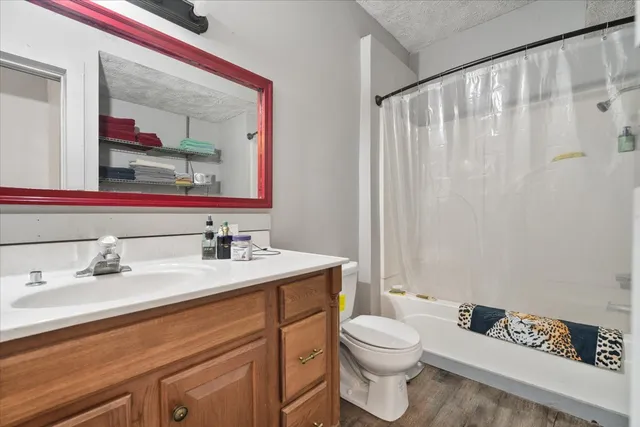 a bathroom with a toilet a sink and a mirror
