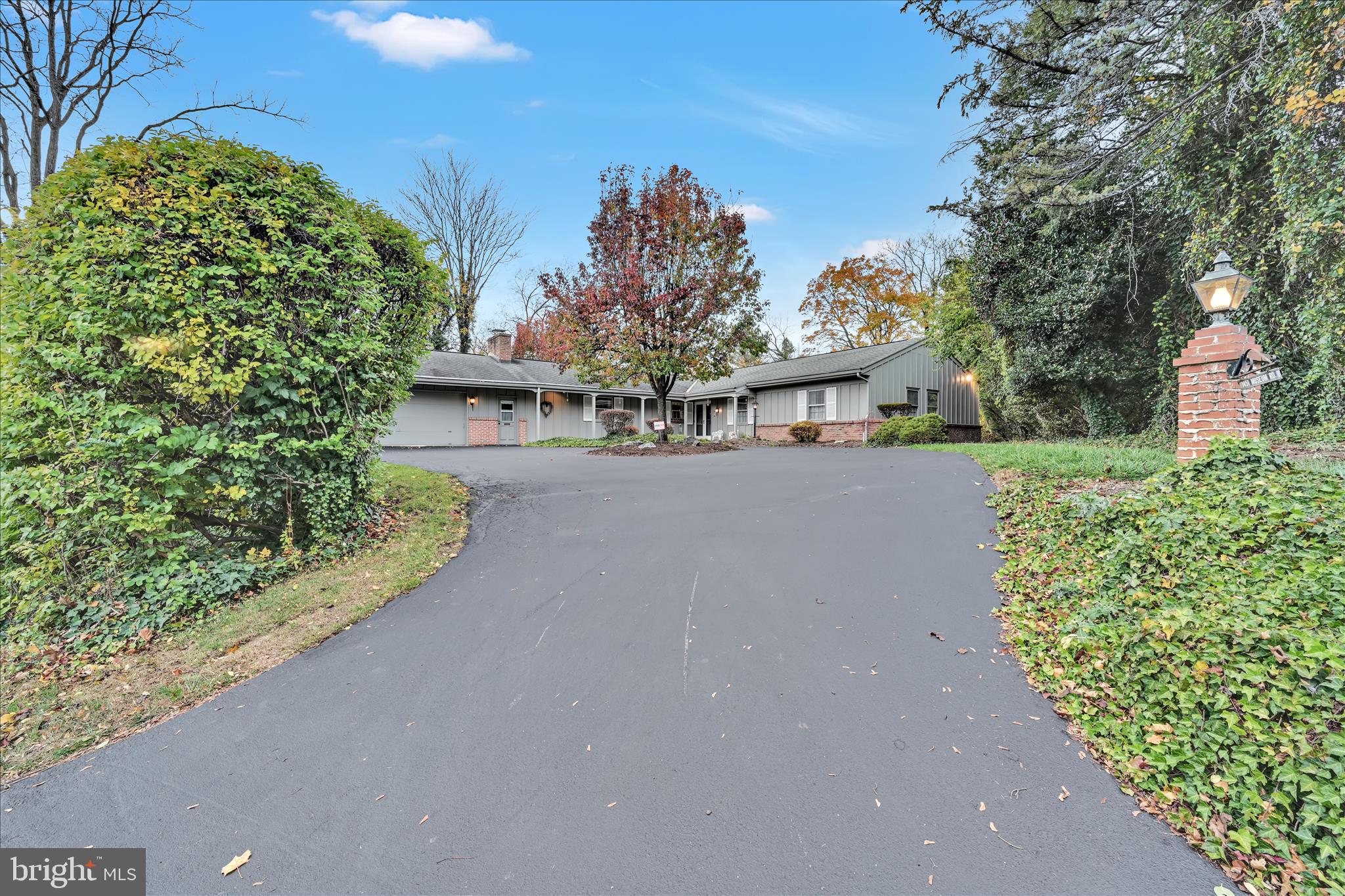 1451 Museum Road Wyomissing, PA 19610 - Photo 4 of 44 a picture of a yard with a tree