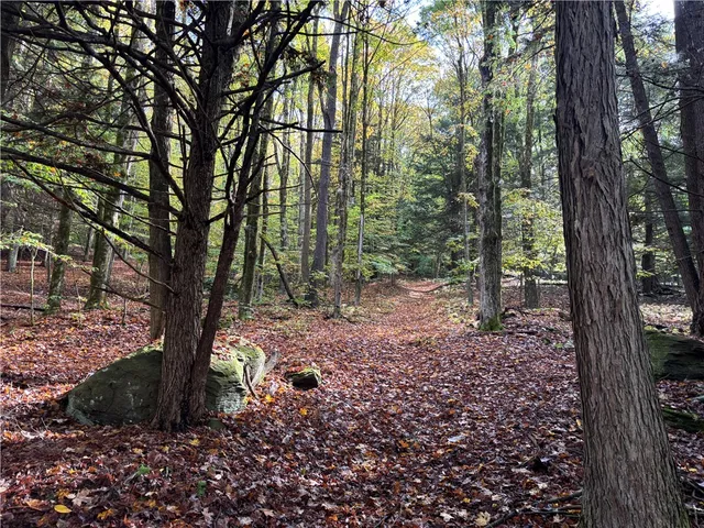 $599,000 | 440 Lower Green Street, Otego, NY 13825